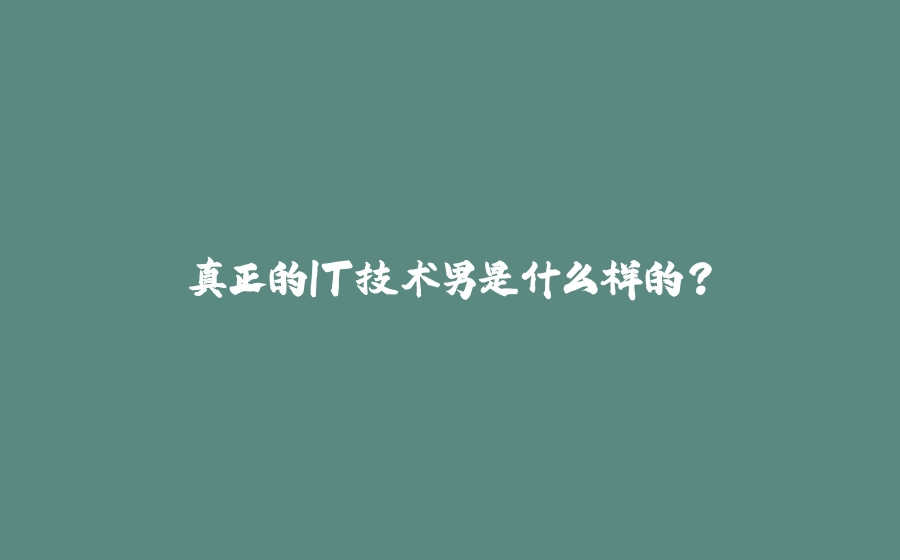 真正的IT技术男是什么样的？ - 拾光赋-拾光赋