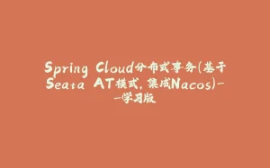 Spring Cloud分布式事务(基于Seata AT模式,集成Nacos)--学习版-拾光赋