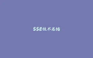 SSE技术总结-拾光赋