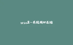 wso2~系统端口总结-拾光赋