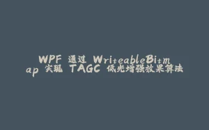 WPF 通过 WriteableBitmap 实现 TAGC 低光增强效果算法-拾光赋