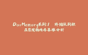 DotMemory系列：1. 终结队列积压引发的内存暴涨分析-拾光赋