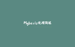 Mybatis使用简述-拾光赋