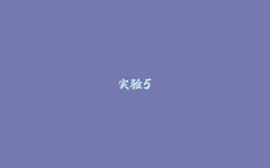 实验5-拾光赋