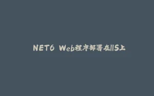.NET6 Web程序部署在IIS上-拾光赋
