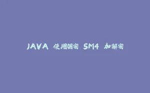 JAVA 使用国密 SM4 加解密-拾光赋