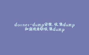 dotnet-dump安装、收集dump和崩溃自动收集dump-拾光赋