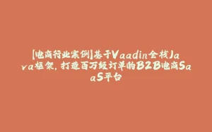 【电商行业案例】基于Vaadin全栈Java框架，打造百万级订单的B2B电商SaaS平台-拾光赋