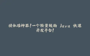 接私活神器！一个轻量级的 Java 快速开发平台！-拾光赋