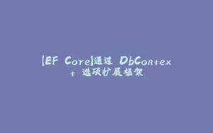 【EF Core】通过 DbContext 选项扩展框架-拾光赋