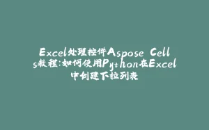 Excel处理控件Aspose.Cells教程：如何使用Python在Excel中创建下拉列表-拾光赋