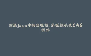 浅谈java中的悲观锁,乐观锁以及CAS操作-拾光赋
