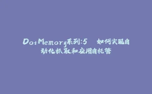 DotMemory系列：5. 如何实现自动化抓取和应用自托管-拾光赋