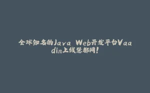 全球知名的Java Web开发平台Vaadin上线慧都网！-拾光赋
