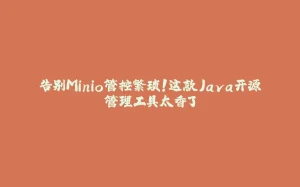 告别Minio管控繁琐!这款Java开源管理工具太香了-拾光赋