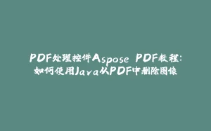 PDF处理控件Aspose.PDF教程：如何使用Java从PDF中删除图像-拾光赋