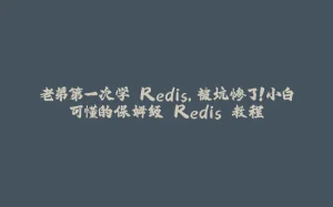 老弟第一次学 Redis，被坑惨了！小白可懂的保姆级 Redis 教程-拾光赋
