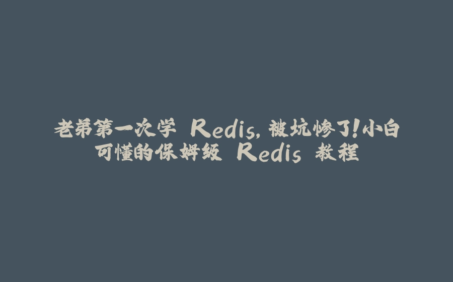 老弟第一次学 Redis，被坑惨了！小白可懂的保姆级 Redis 教程 - 拾光赋-拾光赋