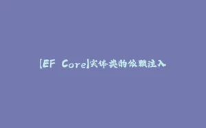 【EF Core】实体类的依赖注入-拾光赋