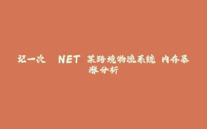 记一次 .NET 某跨境物流系统 内存暴涨分析-拾光赋