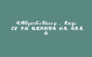使用OpenCvSharp , Emgu.CV 手搓 视觉识别算法 以及 成果展示-拾光赋
