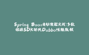 Spring Boot自动装配实战：多数据源SDK解决Dubbo性能瓶颈-拾光赋