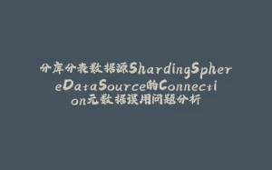 分库分表数据源ShardingSphereDataSource的Connection元数据误用问题分析-拾光赋