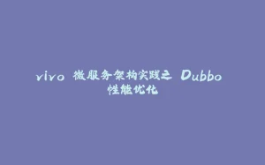 vivo 微服务架构实践之 Dubbo 性能优化-拾光赋