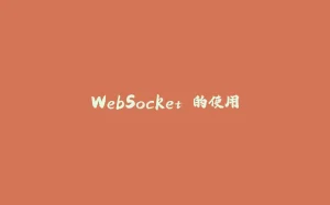 WebSocket 的使用-拾光赋
