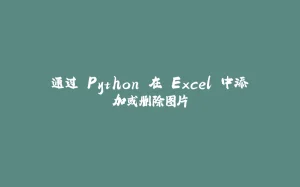 通过 Python 在 Excel 中添加或删除图片-拾光赋