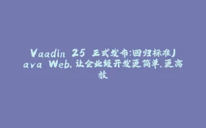 Vaadin 25 正式发布：回归标准Java Web，让企业级开发更简单、更高效-拾光赋