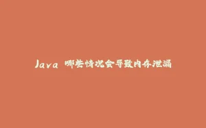 Java 哪些情况会导致内存泄漏-拾光赋