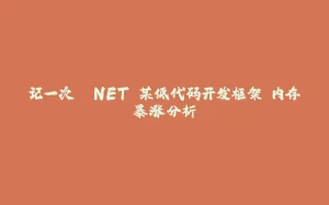 记一次 .NET 某低代码开发框架 内存暴涨分析-拾光赋