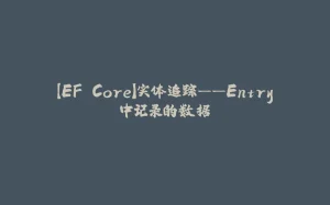 【EF Core】实体追踪——Entry中记录的数据-拾光赋