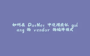 如何在 DotNet 中使用类似 golang 的 vendor 的编译模式-拾光赋