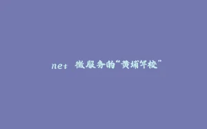 .net 微服务的“黄埔军校”-拾光赋