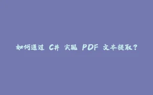 如何通过 C# 实现 PDF 文本提取？-拾光赋