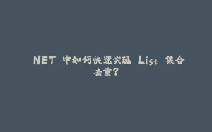 .NET 中如何快速实现 List 集合去重？-拾光赋