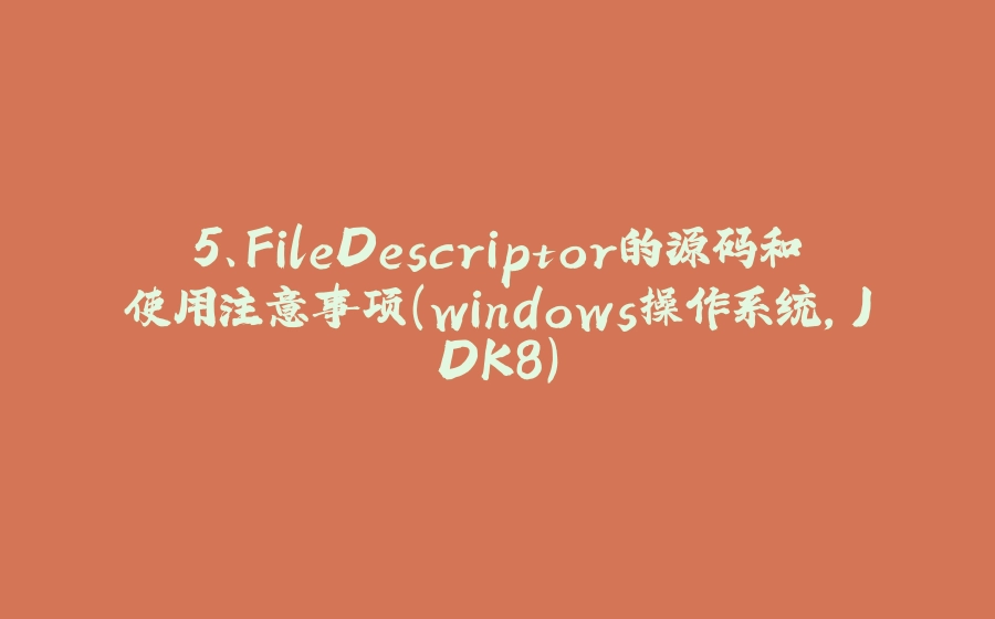 5、FileDescriptor的源码和使用注意事项（windows操作系统，JDK8） - 拾光赋-拾光赋