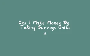 Can I Make Money By Taking Surveys Online-拾光赋
