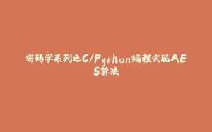 密码学系列之C/Python编程实现AES算法-拾光赋