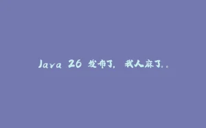 Java 26 发布了， 我人麻了。。-拾光赋