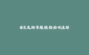 自定义跨字段校验必填注解-拾光赋