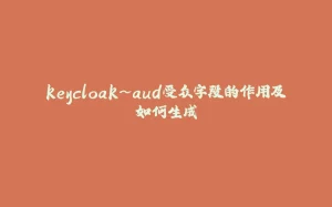 keycloak~aud受众字段的作用及如何生成-拾光赋