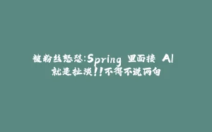 被粉丝怒怼:Spring 里面接 AI 就是扯淡!!不得不说两句-拾光赋