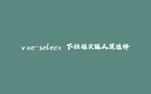 vxe-select 下拉框实现人员选择-拾光赋