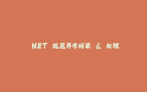 .NET 规范异常捕获 & 处理-拾光赋