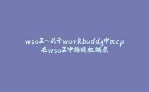 wso2~关于workbuddy中mcp在wso2中的授权端点-拾光赋
