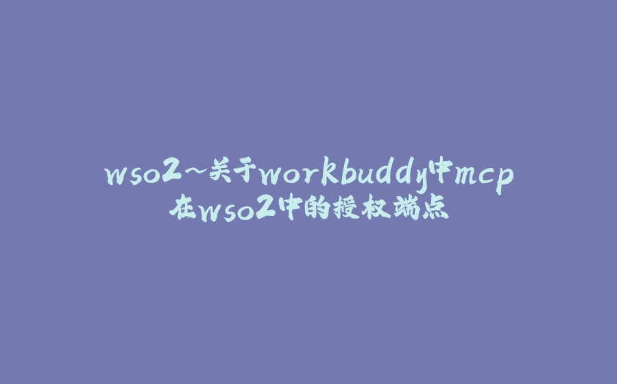 wso2~关于workbuddy中mcp在wso2中的授权端点 - 拾光赋-拾光赋