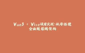 Vue3 + Vite项目实战：从零搭建企业级前端架构-拾光赋